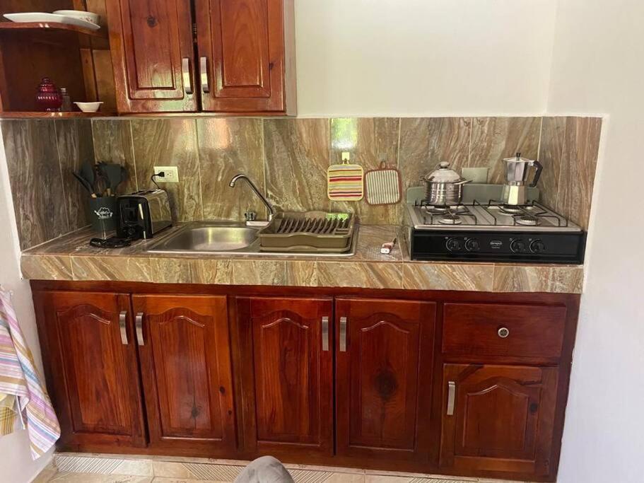 Caribbean Domicile Apartment Las Terrenas Bagian luar foto