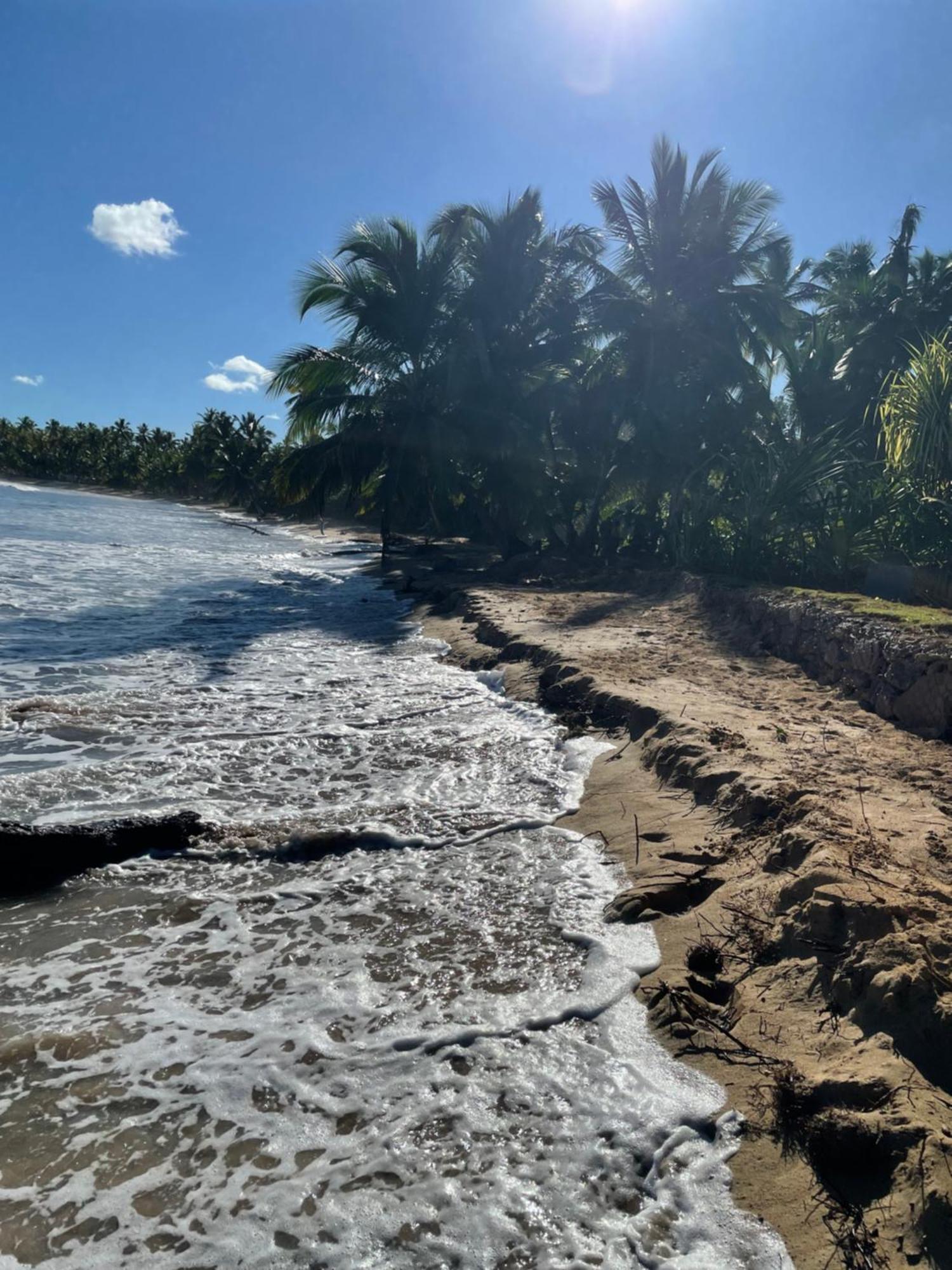 Caribbean Domicile Apartment Las Terrenas Bagian luar foto